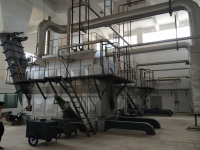 北京春来生物质蒸汽锅炉图2
