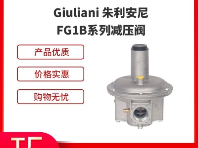 Giuliani朱利安尼FG1B减压阀调压阀图1