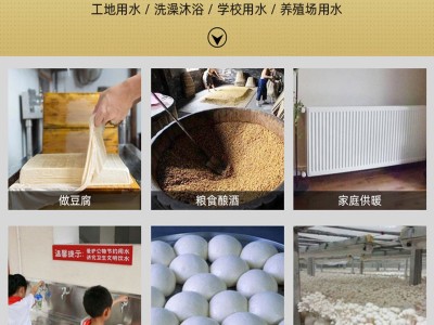 烧热水锅炉 做豆腐锅炉酿酒锅炉做米粉锅炉颗粒锅炉高温灭菌锅炉图5