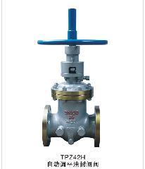 自动调平油封闸阀型号_德国进口