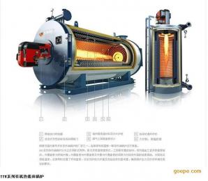 10吨燃气节能环保锅炉